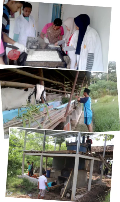 Gambar 3.2. Tempat pembuatan tahu tempe, kandang kambing, dan  penyulingan sereh wangi sebagai instalasi pembelajaran