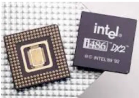 Gambar 2.6. Intel486™ DX CPU Microprocessor. 