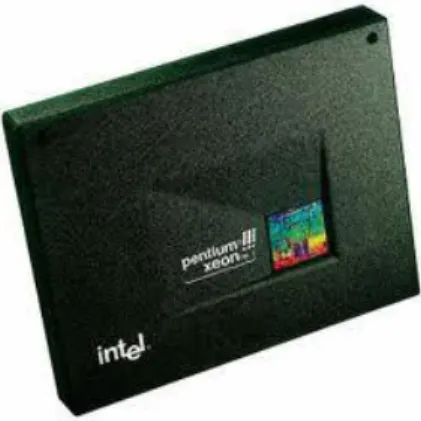 Gambar 2.13. Intel® Pentium® III Xeon®. 