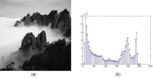 Gambar 4.15 Contoh citra dan histogramnya. 