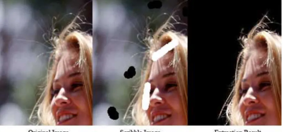 Gambar 1.1. Extraction result on natural image [12] 