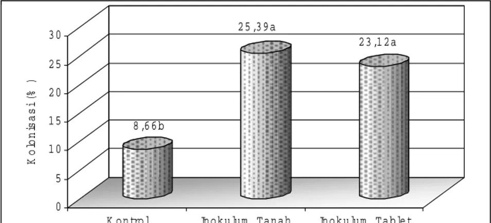 Gambar 5.  Pengaruh pemberian inokulum ektomikoriza terhadap persentase  kolonisasi ektomikoriza pada S