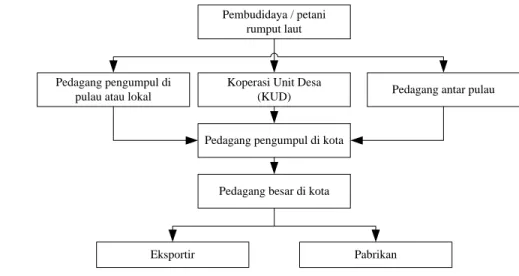 Gambar 4 Tata niaga rumput laut (Anggadiredja et al. 2006). 