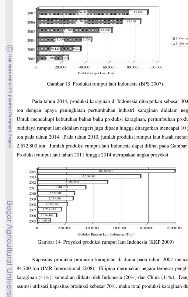 Gambar 13  Produksi rumput laut Indonesia (BPS 2007). 