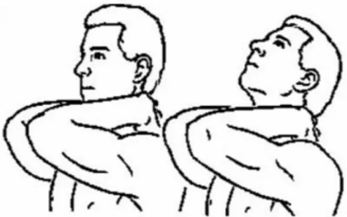 Gambar 2.4 Shoulder Shrugs  4.  Shoulder rolls 
