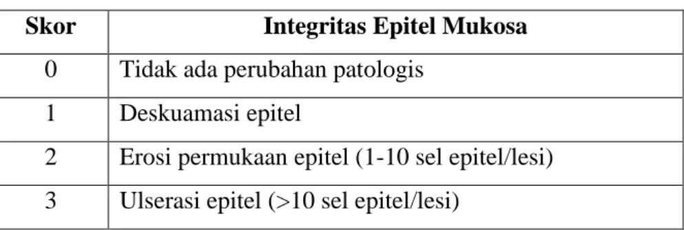 Tabel 1. Skor Barthel Manja yang telah dimodifikasi  Skor  Integritas Epitel Mukosa 