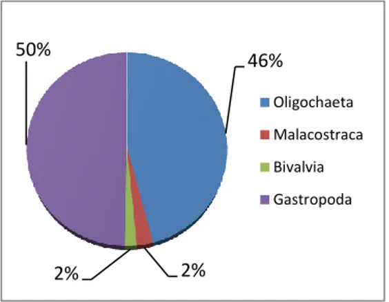 Gambar 1.  Diagram  perbandingan  persentase  komposisi  makrozoobentos 