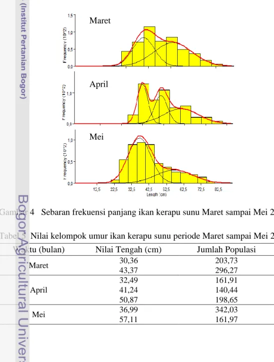 Gambar 4  Sebaran frekuensi panjang ikan kerapu sunu Maret sampai Mei 2012  Tabel 5  Nilai kelompok umur ikan kerapu sunu periode Maret sampai Mei 2012  