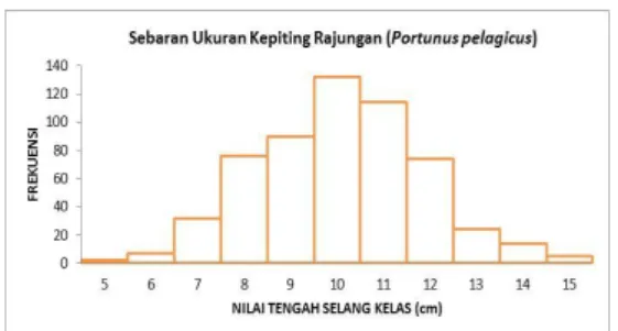 Gambar 3. Sebaran Ukuran Kepiting  Rajungan (Portunus pelagicus)  C.  Identifikasi Kelompok Umur 