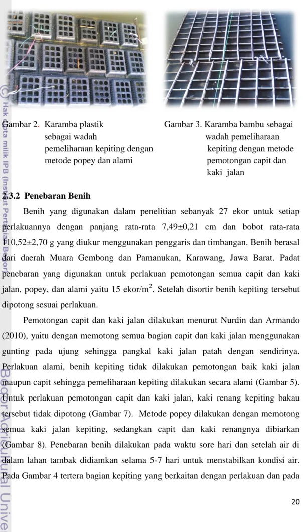 Gambar 2.  Karamba plastik                Gambar 3. Karamba bambu sebagai    