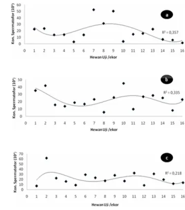 Gambar 15  Grafik Konsentrasi Spermatofor per Individu  Scylla  olivacea  Keterangan; 