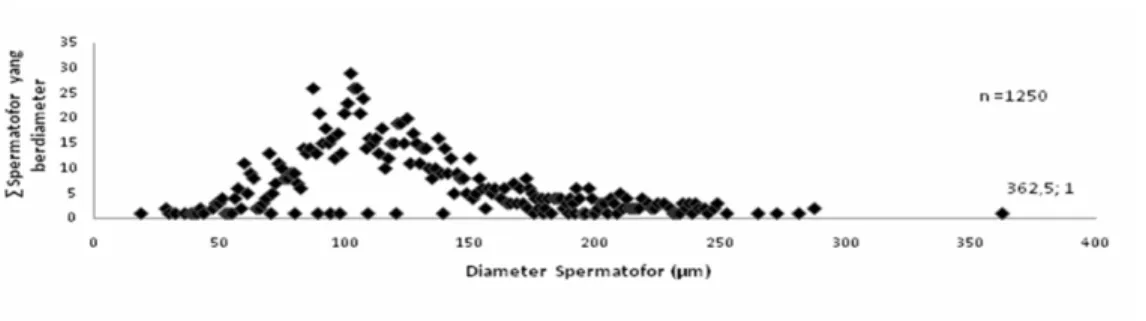 Gambar 18   Scatterplot  Kisaran  Diameter Spermatofor  Scylla olivacea  Jantan Asal   Sulawesi Selatan,  Maros  