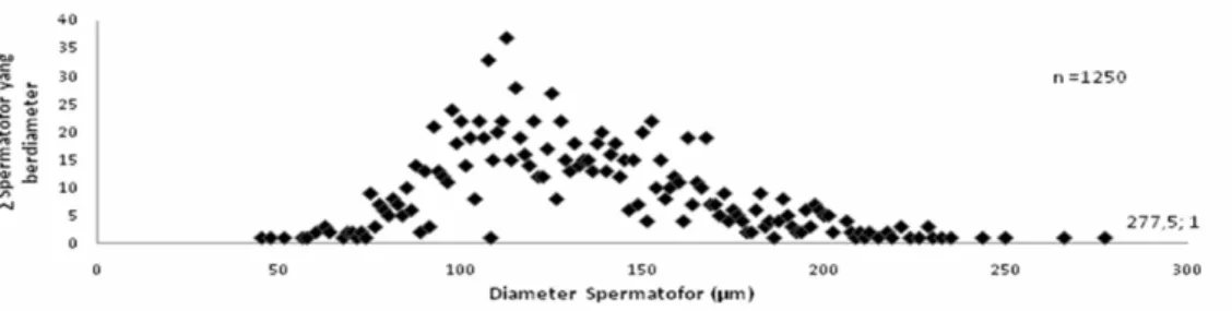 Gambar 19  Grafik  Kisaran  Diameter Spermatofor  Scylla olivacea  Jantan Asal Papua   Barat, Fak-Fak  