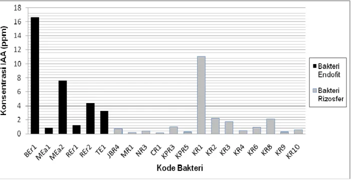 Gambar 1. Aktivitas Fitohormon IAA (ppm) dari Beberapa Isolat Bakteri Endofit dan Bakteri Rizosfer Pada Tabel 1 dapat dilihat bahwa konsentrasi 