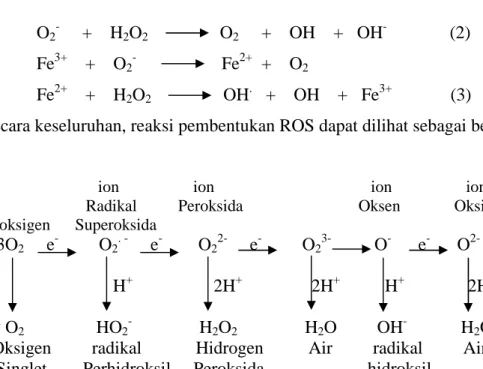 Gambar 1 Mekanisme pembentukan ROS (Apel dan Hirt 2004)