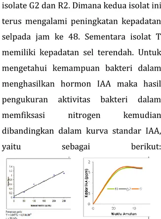 Gambar 3. Perbandingan aktivitas bakteri  dalam memfiksasi nitrogen dalam kurva  standar IAA 