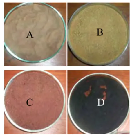 Gambar 3  Biosorben kulit buah kakao BTM  (a), BMATB (b), BMB (c), dan  standar arang aktif (d)