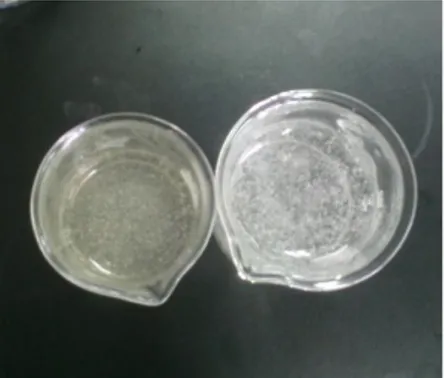 Gambar di atas memperlihatkan terbentuknya gel dari CMC nata de cassava  maupun CMC komersil yang dilarutkan di dalam air