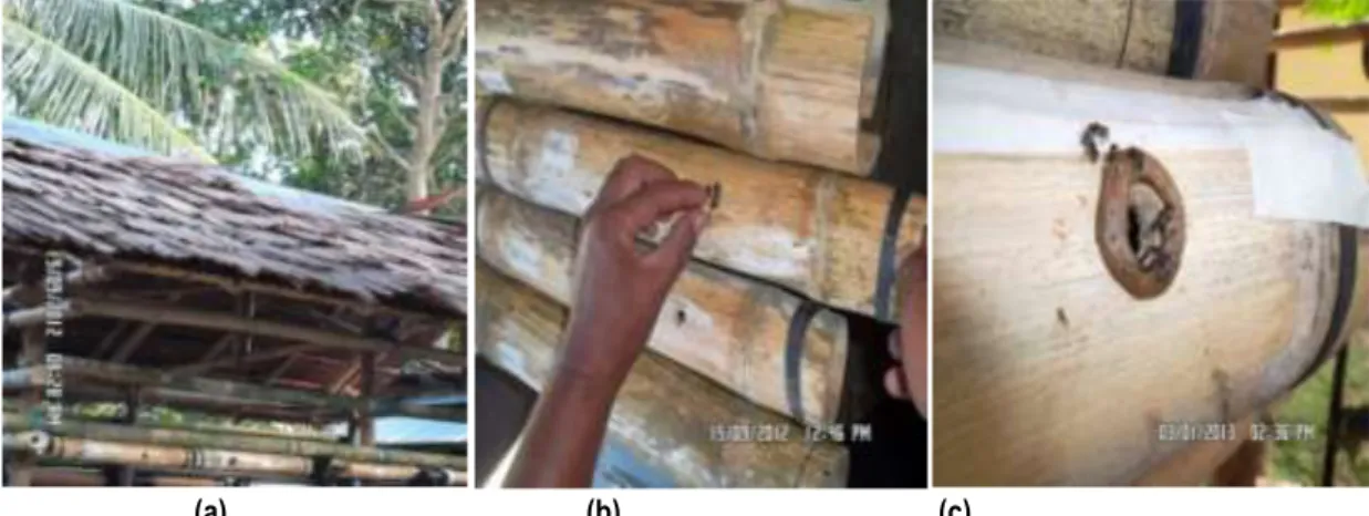 Gambar 1. Sarang Bambu Untuk Media Budidaya Lebah Trigona spp Di Lokasi Penelitian  a) Rumah Sarang Lebah Dari Bambu   (b) Sarang Lebah Pada Beberapa Jenis Bambu  (c) Aktivitas Lebah Pada Lubang Masuk Bambu Petung 