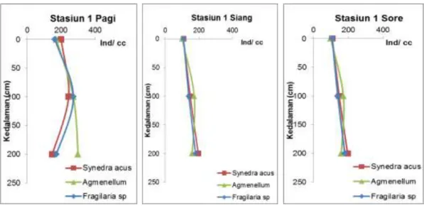 Gambar 2. Grafik Distribusi Vertikal Fitoplankton Stasiun I di Tiga    Kedalaman Pada Waktu Pagi , Siang Dan Sore Hari 