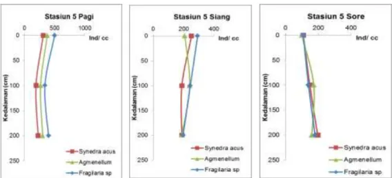 Gambar 6. Grafik Distribusi Vertikal Fitoplankton Stasiun 5 di Tiga  Kedalaman Pada Waktu Pagi, Siang Dan Sore Hari 