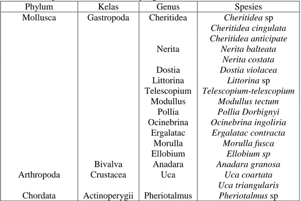 Tabel 1. Jenis-jenis makrozoobenthos yang ditemukan. 