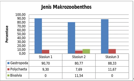 Gambar 2. Grafik Kelompok Makrozoobenthos pada Masing-masing Stasiun Penelitian  Kelimpahan  makrozoobenthos 