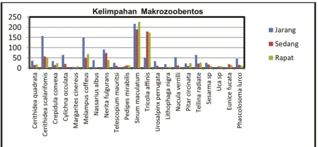 Gambar 1.  Kelimpahan Makrozoobentos pada Kerapatan Mangrove 