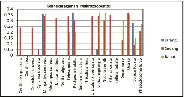 Gambar 2. Keanekaragaman Makrozoobentos pada Kerapatan Mangrove 