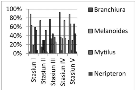 Gambar  17.  Nilai  Kepadatan  Populasi  (K)  makrozoobentos  (ind/m 2 )  pada  setiap stasiun penelitian 
