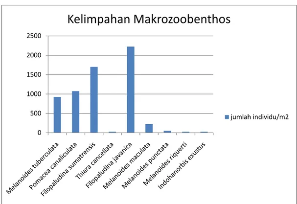 Gambar 1. Kelimpahan jenis makrozoobenthos di perairan Situ Pamulang Kelimpahan makrozoobenthos  pada  setiap  stasiun  pengamatan  pada stasiun 1,  2 dan  3  berkisar  antara 1150 – 3725  individu/m 2 