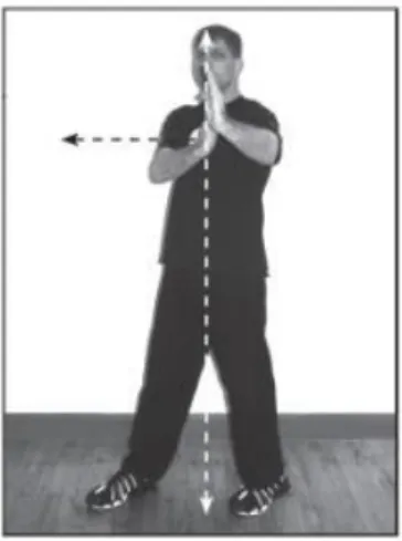 Gambar II.4 Prinsip Centerline Pada Seni Bela Diri Wing Chun  Sumber : 