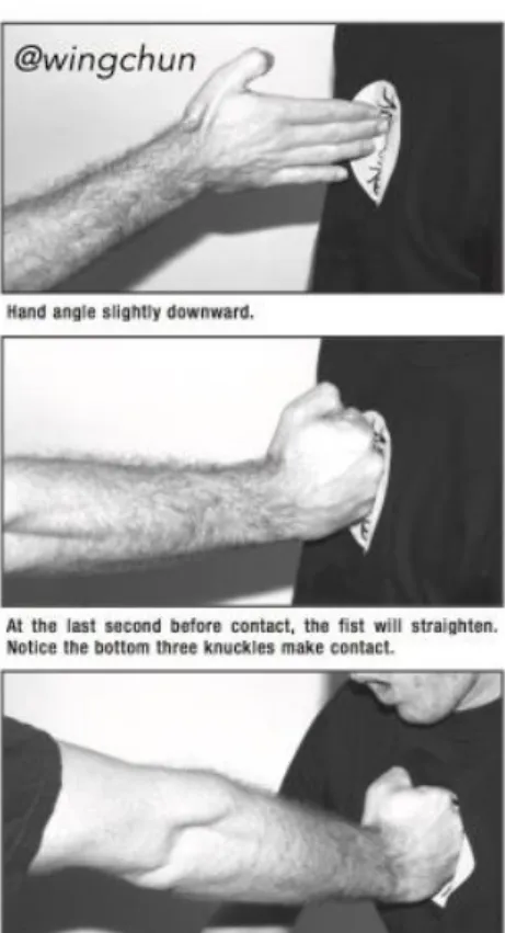 Gambar II.7 Prinsip Short Force and Inch Punch 