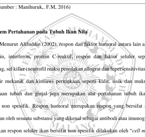 Tabel 2. Hasil Uji Total Fenolik, Aktivitas Penghambatan terhadap Radikal Bebas  DPPH, dan Kapasitas Antioksidan Ekstrak Kulit Buah Naga Merah 