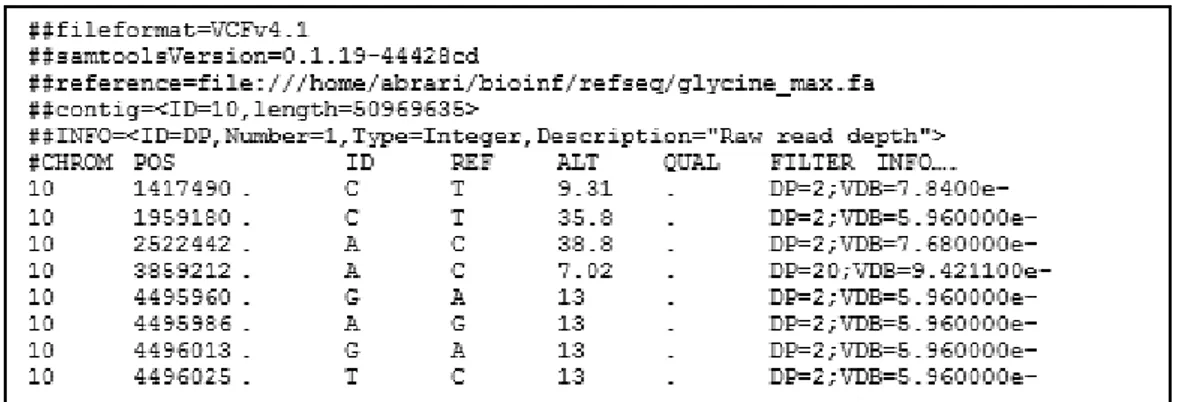 Gambar 2  Format data SNP fail berformat VCF 