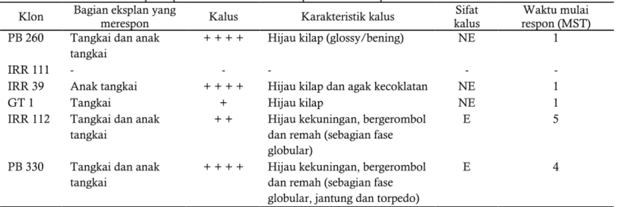 Tabel 1. Perbedaan respon pembentukan kalus pada beberapa klon karet. 