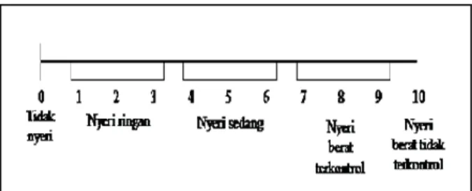 Tabel 5.1 Distribusi Frekuensi Usia, Lama Bekerja dan Jadwal Bekerja Harian  Usia  Frekuensi (n)  Persentase 
