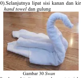 Gambar 30 Swan 