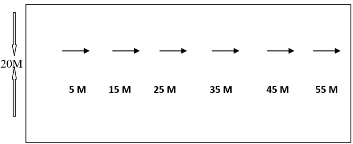 Gambar 3.4. Lapangan tes tendangan jarak jauh (M. Barrow P.E.D, 1971:310) 