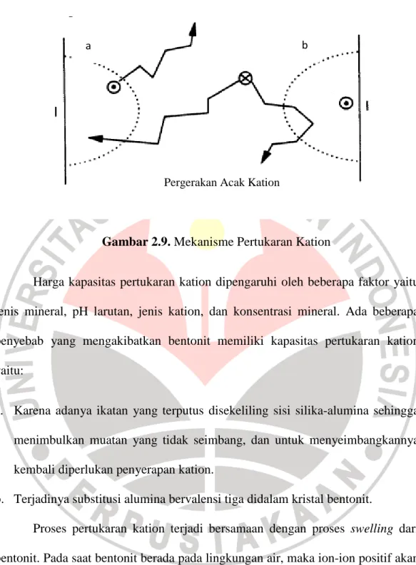 Gambar 2.9. Mekanisme Pertukaran Kation 