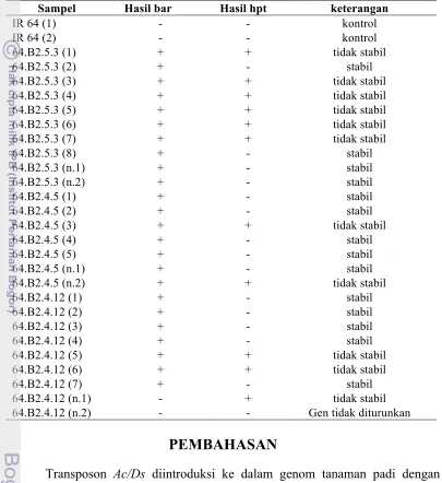 Tabel 1 Hasil analisis kestabilan transposon Ds  