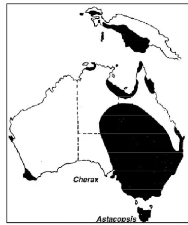 Gambar 4  Distribusi Cherax (Hobbs 1988). 