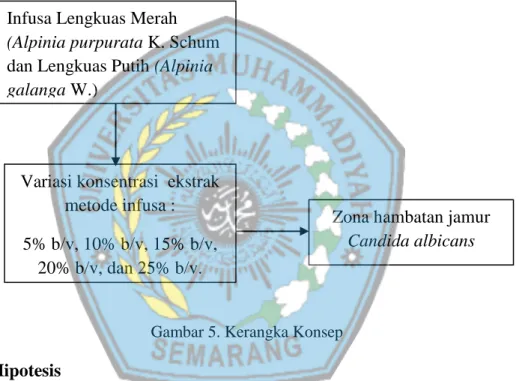 Gambar 5. Kerangka Konsep 