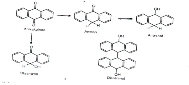 Gambar 1. Struktur Kimia Senyawa Antrakuinon dan turunannya 
