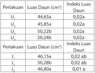 Tabel 1. Rata-rata Luas Daun dan Indeks Luas  Daun pada Masing-masing Pengaruh Umur 