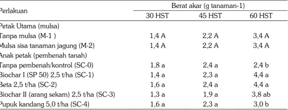 Tabel 5.  Pengaruh mulsa dan pembenah tanah terhadap berat akar tanaman kedelai pada Ultisol di  Desa Sukadana, Kec