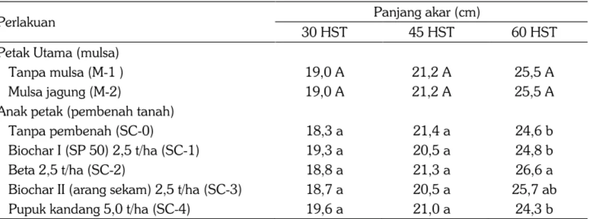 Tabel 6.  Pengaruh mulsa dan pembenah tanah terhadap panjang akar tanaman kedelai pada Ultisol  di Desa Sukadana, Kec