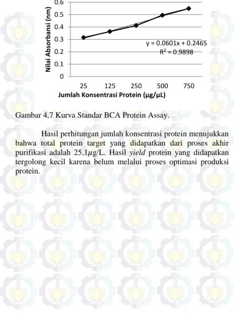 Gambar 4.7 Kurva Standar BCA Protein Assay. 