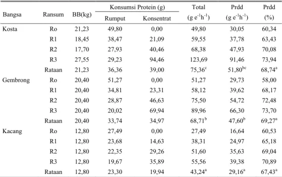 Tabel 4. Rataan konsumsi dan kecernaan Protein ransum pada kambing Kacang, Gembrong dan Kosta  Konsumsi Protein (g)  Bangsa Ransum  BB(kg)  Rumput Konsentrat  Total (g e-1h -1 )  Prdd (g e-1h -1 )  Prdd (%)  Kosta Ro  21,23  49,80 0,00 49,80  30,05  60,34 