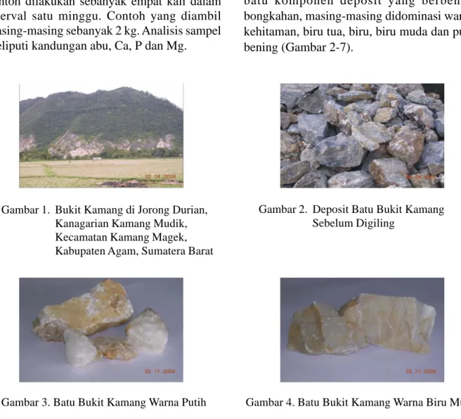 Gambar 1. Bukit Kamang di Jorong Durian, Kanagarian Kamang Mudik, Kecamatan Kamang Magek, Kabupaten Agam, Sumatera Barat